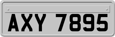 AXY7895