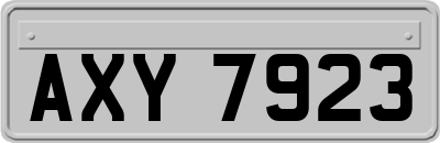 AXY7923
