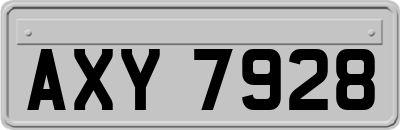 AXY7928