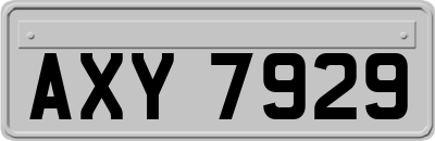 AXY7929