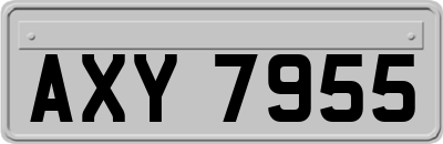 AXY7955