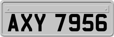 AXY7956