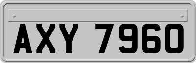 AXY7960
