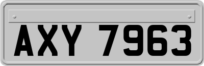 AXY7963