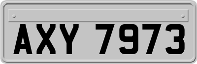 AXY7973