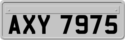 AXY7975