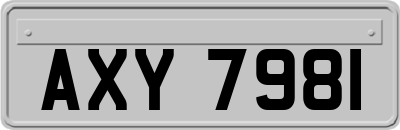 AXY7981