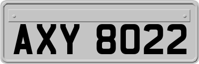 AXY8022