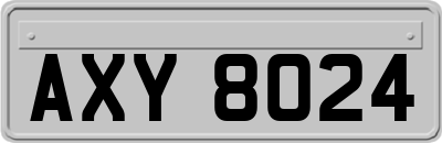 AXY8024