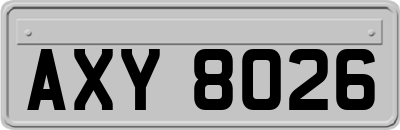 AXY8026