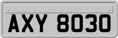 AXY8030