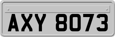 AXY8073