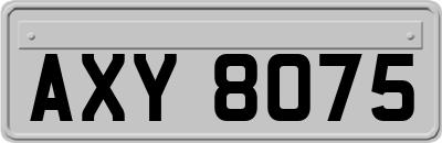 AXY8075