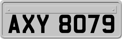 AXY8079