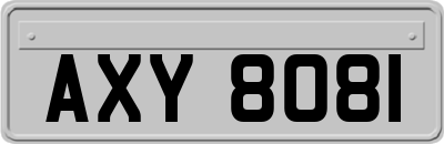 AXY8081