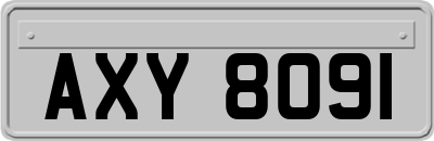 AXY8091
