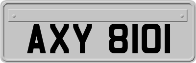 AXY8101