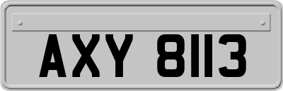AXY8113