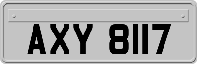 AXY8117
