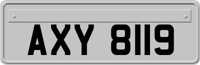 AXY8119