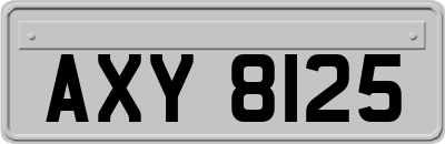 AXY8125