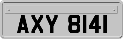 AXY8141