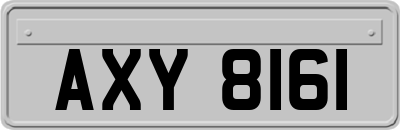 AXY8161
