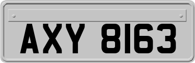 AXY8163