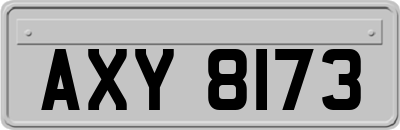 AXY8173
