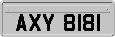 AXY8181