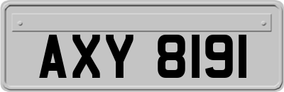 AXY8191