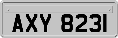 AXY8231