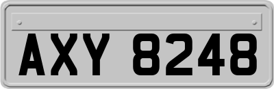 AXY8248