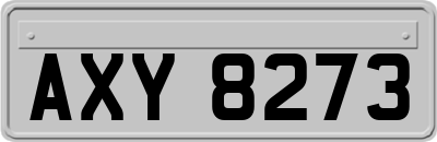 AXY8273