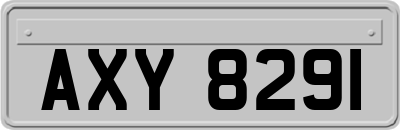 AXY8291