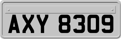 AXY8309