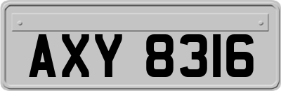 AXY8316