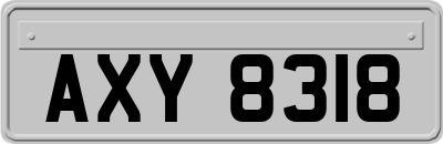 AXY8318