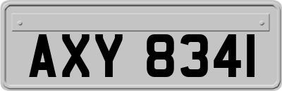 AXY8341