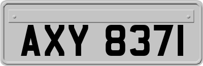 AXY8371