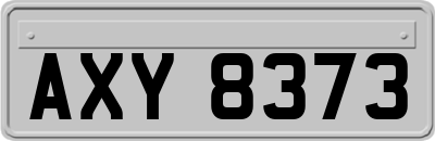 AXY8373