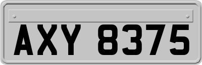 AXY8375