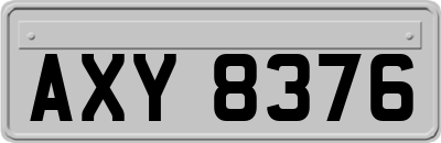 AXY8376