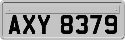 AXY8379