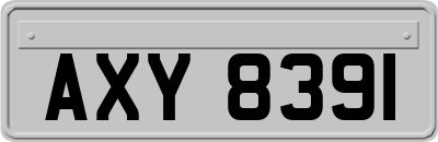 AXY8391