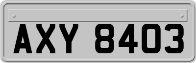 AXY8403
