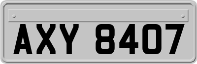 AXY8407