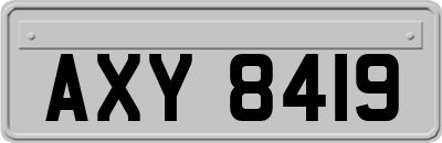 AXY8419