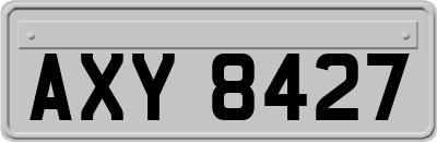 AXY8427