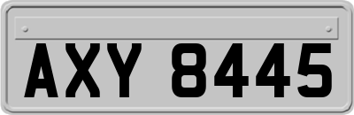 AXY8445